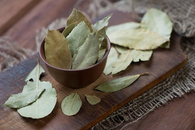 How Bay Leaves Help You Lose Weight