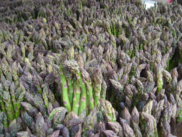 50 Seeds Asparagus Seeds for Planting Non-GMO Vegetable Seeds Garden Seeds