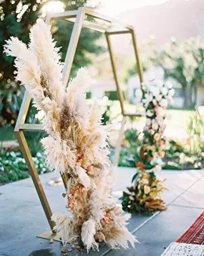 1200 Pampas Grass Seeds White Cortaderia Selloana Seeds Perennial Flowering ORNIMENTAL Grasses FEATHERY Blooms Wedding Holiday Festival Decor