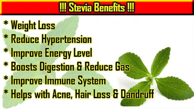 100 Gram Stevia tea herb Leaves Herbal Tea Cay Co Ngot Sweetleaf Stevia Rebaudiana Leaf Tea