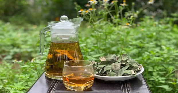 lotus tea herbal tea 100-gram lotus Leaf Tea liancha yeoncha tra sen lotus leaves loose tea