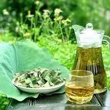 lotus tea herbal tea 100-gram lotus Leaf Tea liancha yeoncha tra sen lotus leaves loose tea