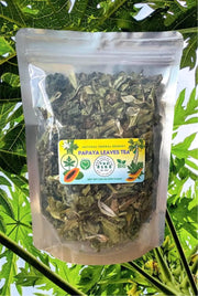 Dried Papaya Leaf Tea Pawpaw Leaves Herbal Tea loose tea Ceylon Organic Papaya leaves (Carica papaya) 100 Gram papaw leaf Hoja De Papaya Te