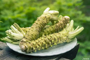 50 Seeds Wasabi Seeds Japanese Horseradish Vegetable Seeds Bonsai Plant DIY Home Garden Plants