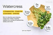 500 Watercress Seeds yellowcress Lettuce Seeds Xa lach xoong CAI be xoong Organic Vegetable Seeds for Planting Non-GMO