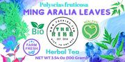 Ming Aralia Tea Organic Dinh Lang Tea Leaf Herbal Tea Polyscias Fruticosa Polyscias Ming Panax fruticosum detox tea 100 gram