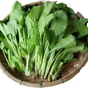 3000 Seeds Choy Sum Seeds Brassica Integrifolia Gunsho Asian Green Seeds CAI Ngot
