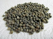 300 Seeds Long Green Okra Seeds Lady Fingers Ochro Gumbo Bhindi Clemson Spineless