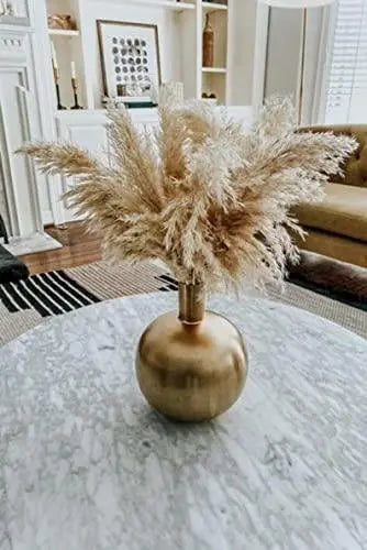 4000 Pampas Grass Seeds White Cortaderia Selloana Seeds Perennial Flowering ORNIMENTAL Grasses FEATHERY Blooms Wedding Holiday Festival Decor