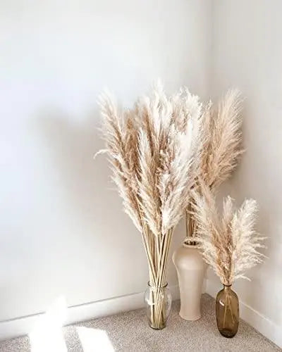 4000 Pampas Grass Seeds White Cortaderia Selloana Seeds Perennial Flowering ORNIMENTAL Grasses FEATHERY Blooms Wedding Holiday Festival Decor