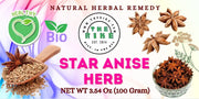 Dried Star Anise spice (Hoa Hoi) Whole Star Anise pods 100 gram Pimpinella anisum aniseed anis estrella