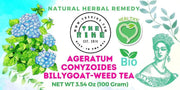 Ageratum conyzoides Herbal Tea billygoat-weed tea chick weed goatweed, whiteweed mentrasto Cut Lon Herb Tea herbal medicine 100 Gram