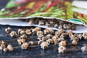 100 Rainbow Swiss Chard ( 5-Color Silverbeet ) Seeds for Planting | Heirloom & Non-GMO Vegetable Seeds Indoor Outdoor Garden