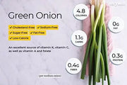 2500 Green Onion Seeds Scallion Seeds Spring Onions White Bunching Herb Seeds White Lisbon Onion Seeds - White Allium cepa Seeds - Beicoang Seeds - Vidalia Sweet Onion Chives Seeds Non-GMO