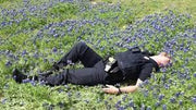 1000 Texas Bluebonnet Seeds for Planting Lupinus texensis Texas Lupine Texas State Flower Seeds