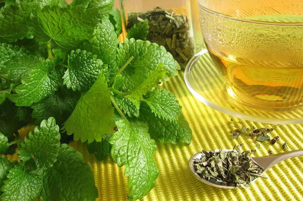 Lemon Balm Tea- Loose Leaf Tea Herbal Tea Lemon Balm Leaf- Lemon Balm Herb Tea 100 Gram/3.5 oz Herbal Tea