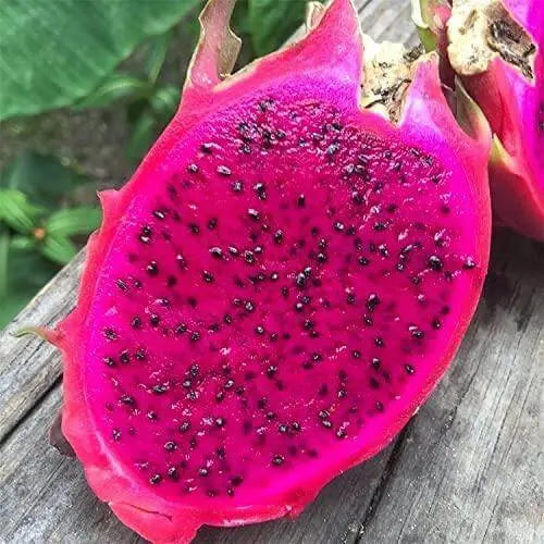 300 Seeds Red Dragon Fruit Seeds Thanh Long Pitaya Pitahaya Hylocereus Undatus Cactus Purple Dragon Fruit Pitaya/Pitahaya/Strawberry Pear