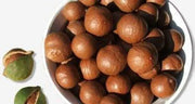 Macadamia Nuts for planting Queensland nut bush nut maroochi nut bauple nut Tree Seeds - Raw IN SHELL