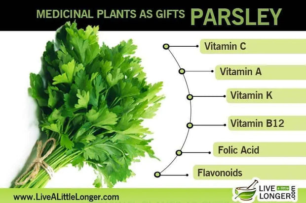 3000 Parsley Seeds for Planting Flat Leaf Garden Parsley Petroselinum Crispum Dark Green Italian Non-GMO