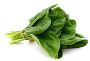 400 Spinach Seeds CAI bo xoi Seeds Spinacia oleracea Seeds Turkana Organic American Spinach Seeds Vegetable Seeds Slow Bolt Baby Greens Seeds