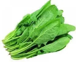 400 Spinach Seeds CAI bo xoi Seeds Spinacia oleracea Seeds Turkana Organic American Spinach Seeds Vegetable Seeds Slow Bolt Baby Greens Seeds