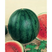 Sugar Baby Watermelon Seeds 150 Seeds Sweet Citrullus Lanatus Fruit Seeds Organic Non-GMO