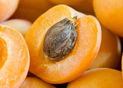 Premium Organic Bitter Raw Apricot Seeds Non-GMO Ideal for Planting Apricot Trees Nutritious Superfood