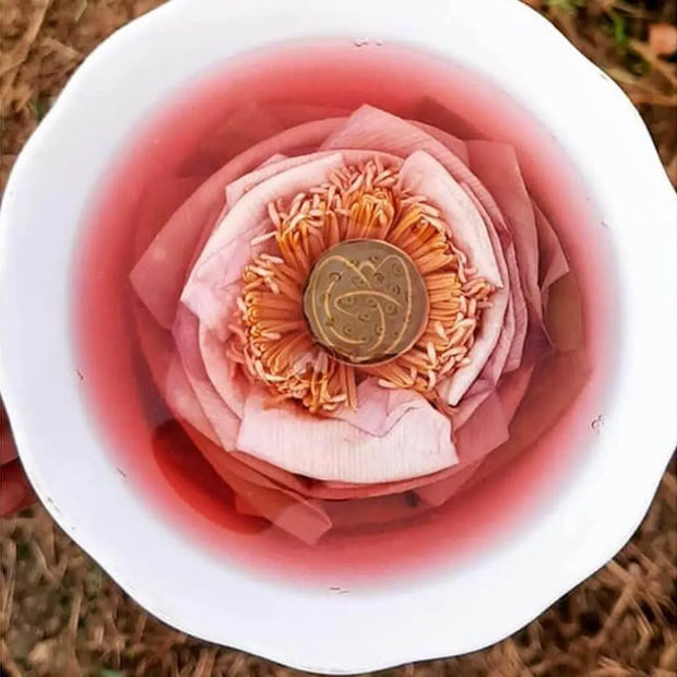 Dried Lotus Flower Tea Herbal Tea Whole Blossom Herb Tea 100 gram