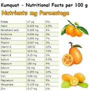 Dried Kumquat Slices Herbal Tea Cumquats Fruit Tea Herb Tea Tea Leaf 100% 150 Gram Organic Pure Natural Non GMO Caffeine-Free