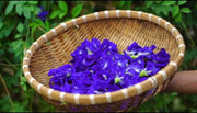 200 Butterfly Pea Flower Seeds - Local US, Blue Butterfly Pea Vine Seeds, Organic, Non GMO Seeds, (Clitoria Ternatea) Asian Pigeonwings -Tropical Vine Plant Seeds- Edible Flower Seeds 200 200