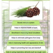 170 Gram (6 OZ) Dehydrated Pine Needle Herbal Tea USA Organic Fresh Eastern White Pine Needle Tea Herbal Tea Pine Needles Leaves Smudging Incense Pine Tea